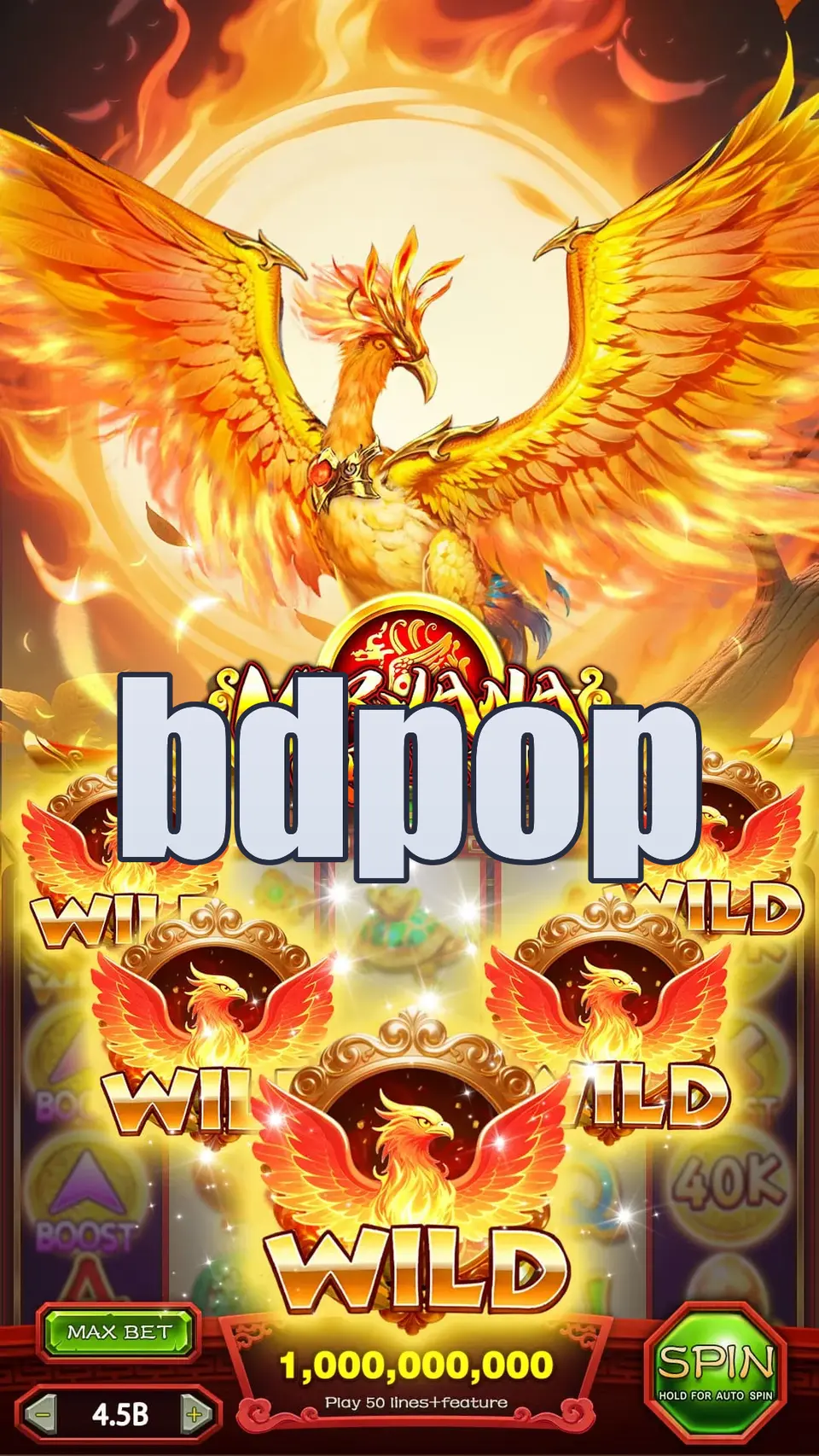 bdpop লগইন
